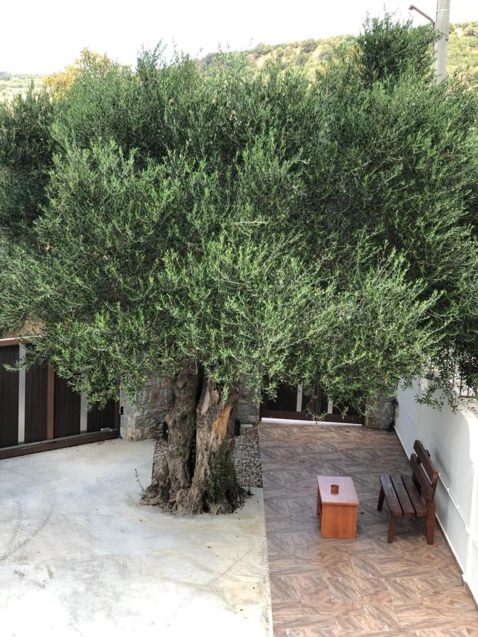 Creta Galini House Villa Sirilion Bagian luar foto