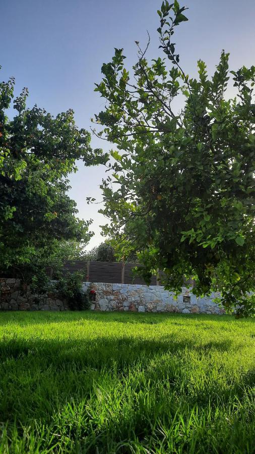 Creta Galini House Villa Sirilion Bagian luar foto