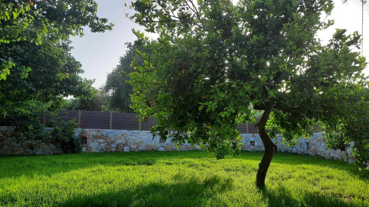 Creta Galini House Villa Sirilion Bagian luar foto
